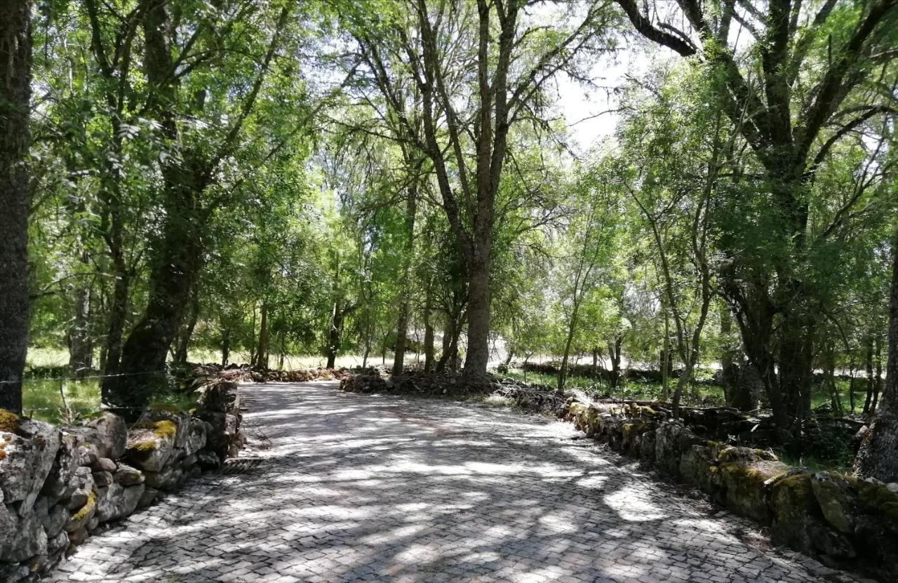 Carya Tallaya - Casas De Campo Vale das Éguas Exterior foto