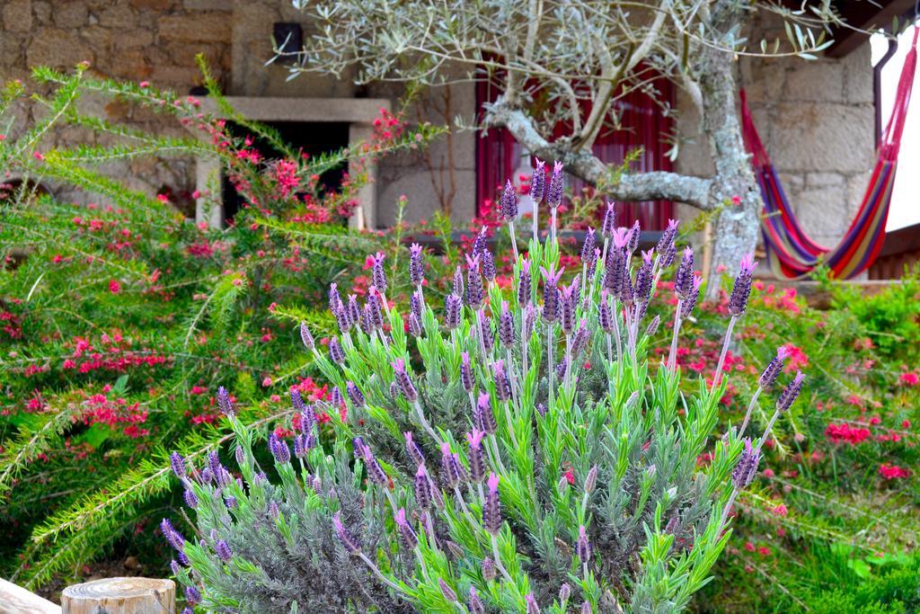 Carya Tallaya - Casas De Campo Vale das Éguas Exterior foto