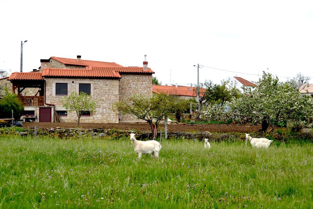 Carya Tallaya - Casas De Campo Vale das Éguas Exterior foto